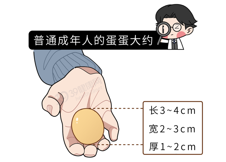 提醒男性：“夫妻生活”过度，或可导致附睾炎！做好5点能预防
