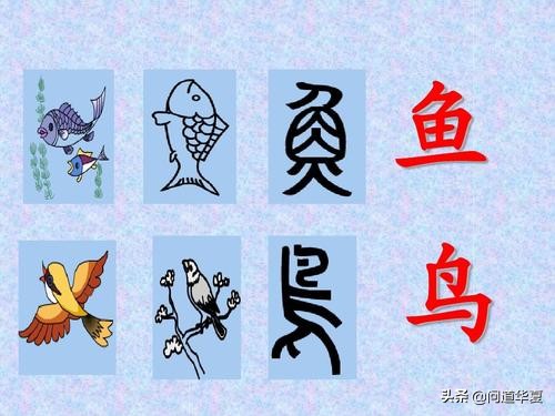 汉字魔术：奇妙的字句游戏