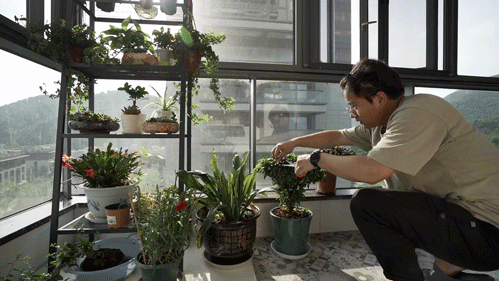 改变墨守成规的布置，她坚持把沙发背景改成矮墙，真是通透又美观