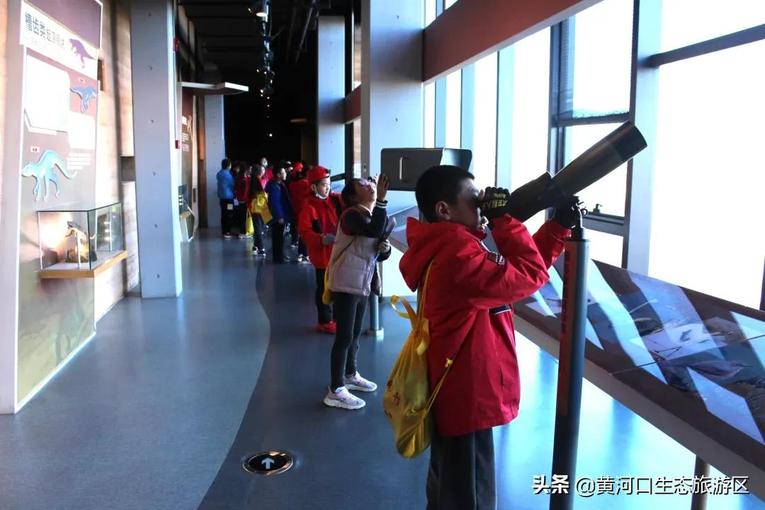 【黄河口生态旅游区】冬日暖阳 静享时光