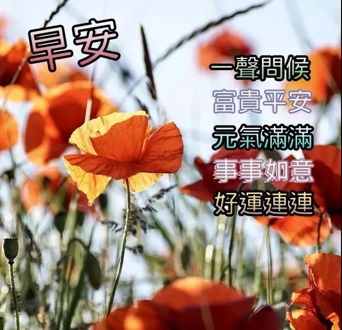 迁就别人的感受,守住自己的底线,换来别人的尊重,早上好