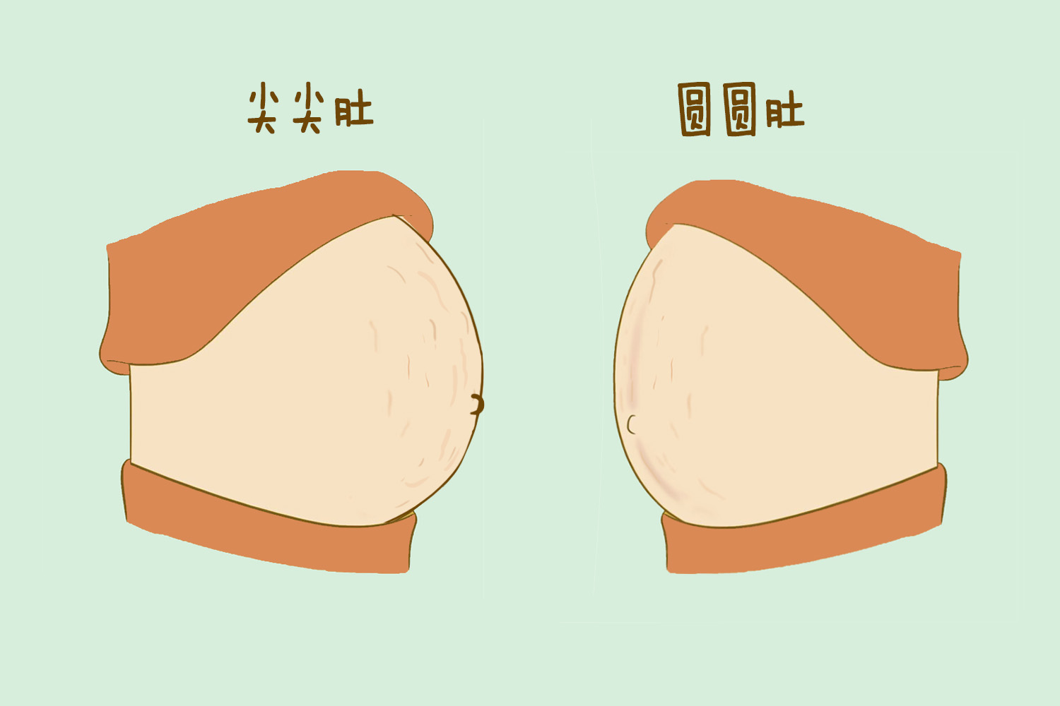 怀孕后从肚子变化看出生男生女？来看科学解释怎么说