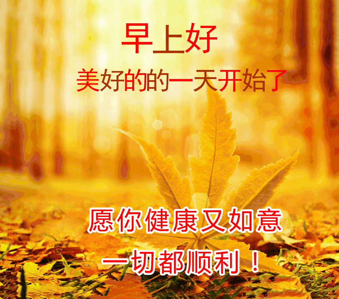 适合发朋友圈的最新早安语录图片
