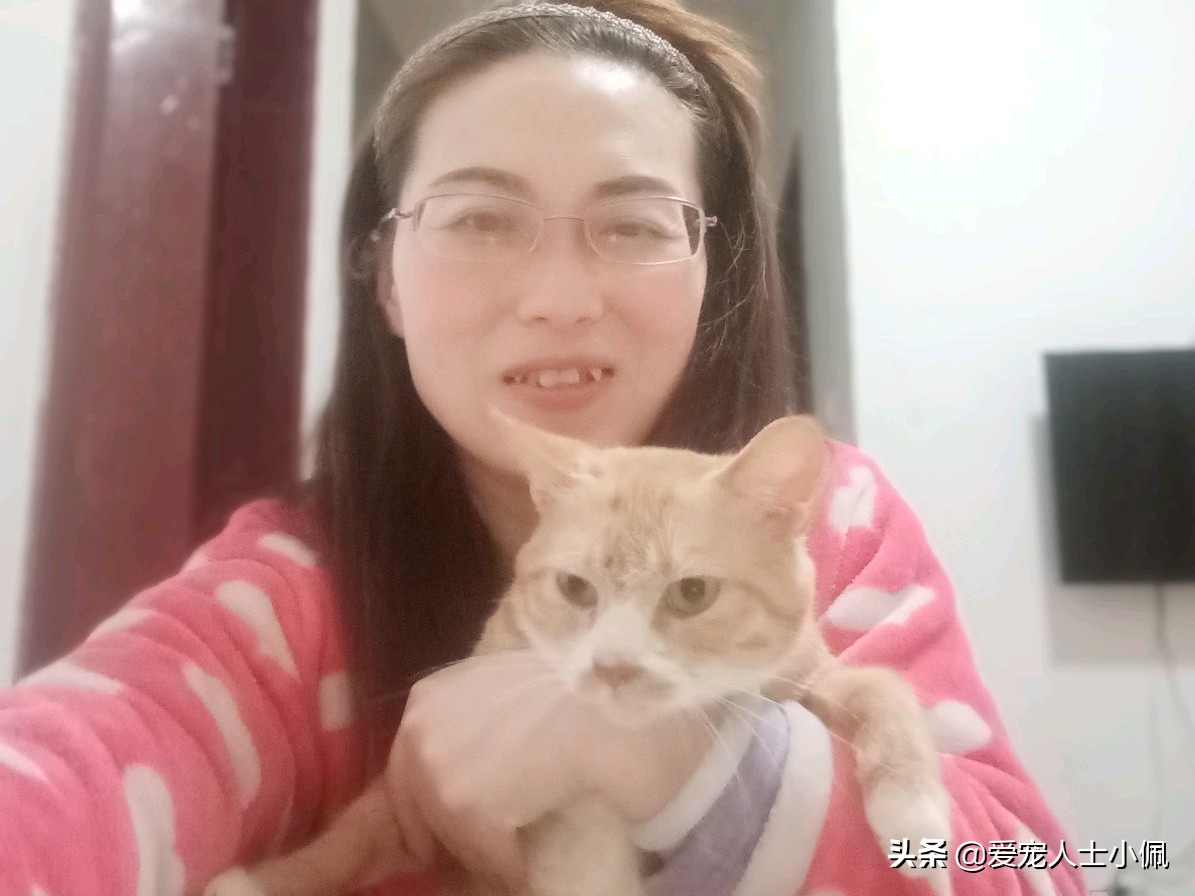猫咪为什么会流眼泪？是猫咪感觉到了悲伤还是猫咪生病了？