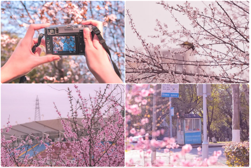 冲上热搜、登上央视、攻克世界性难题，南京工业大学实力如何？就6个词！