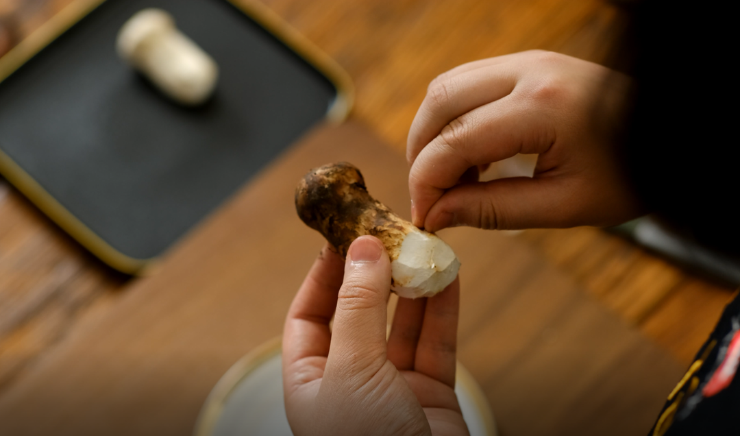 食菌有道——新鲜松茸的清洗,保存及吃法攻略