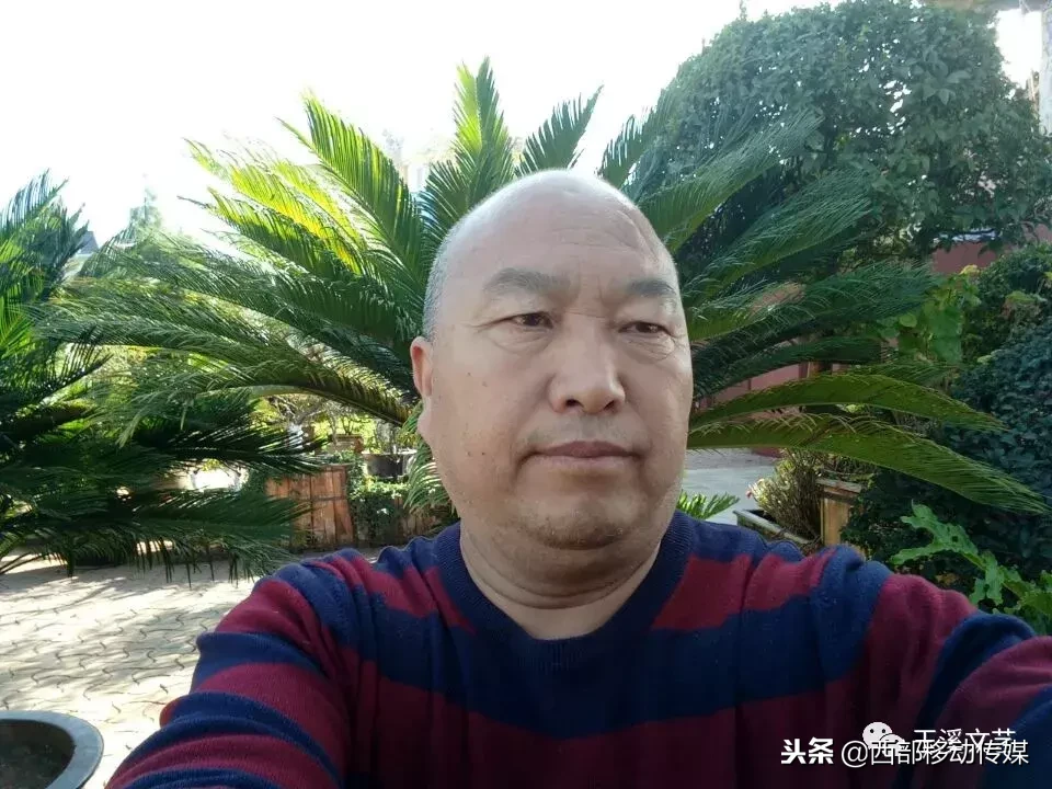 华宁陶的诗和远方