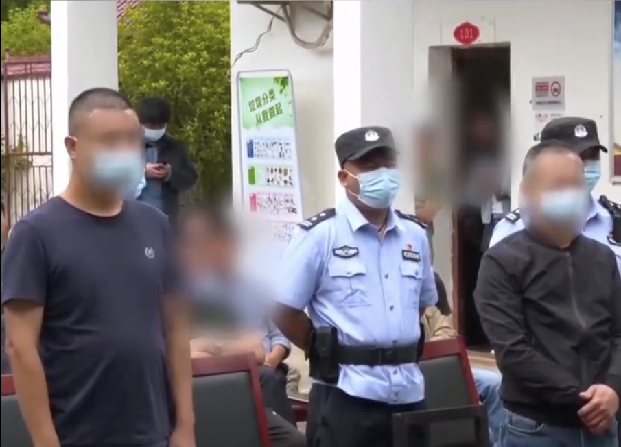 寵物兔多少錢一只,一只兔子多少錢