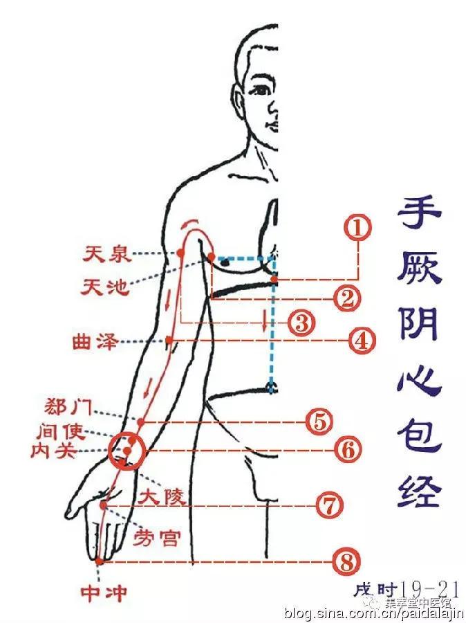 內關的準確位置圖和作用內關穴和外關穴的妙用