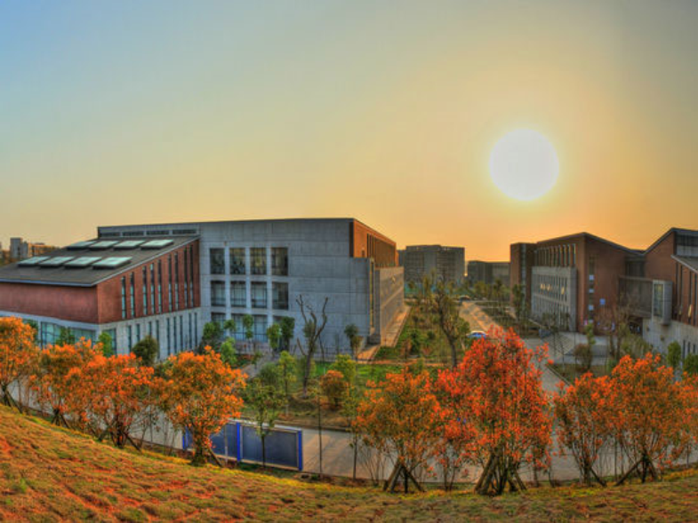 料事如神，真的能提高这么多！湖北美术学院2021年录取分数线公布