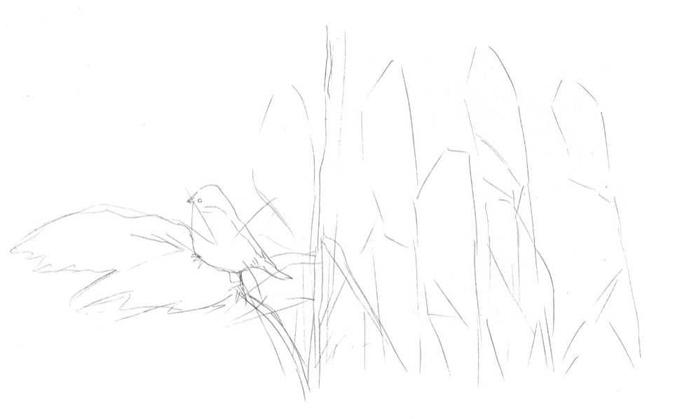 听说你不会画芦苇钢笔画，视界教你画芦苇，简单易学，快来临摹