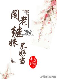 权臣男主系列小说合集 | 待山河安定，你我共看一一风荷举