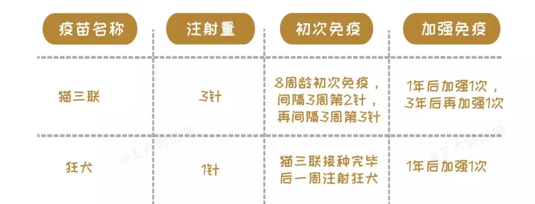 病毒顽强，致死率高达90%，让猫和主人措手不及的猫瘟如何预防？