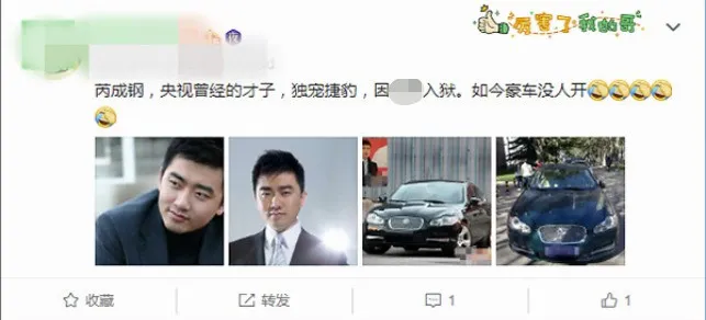 央视名嘴入狱，豪车6年落灰：人最大的愚蠢是错把平台当成本事