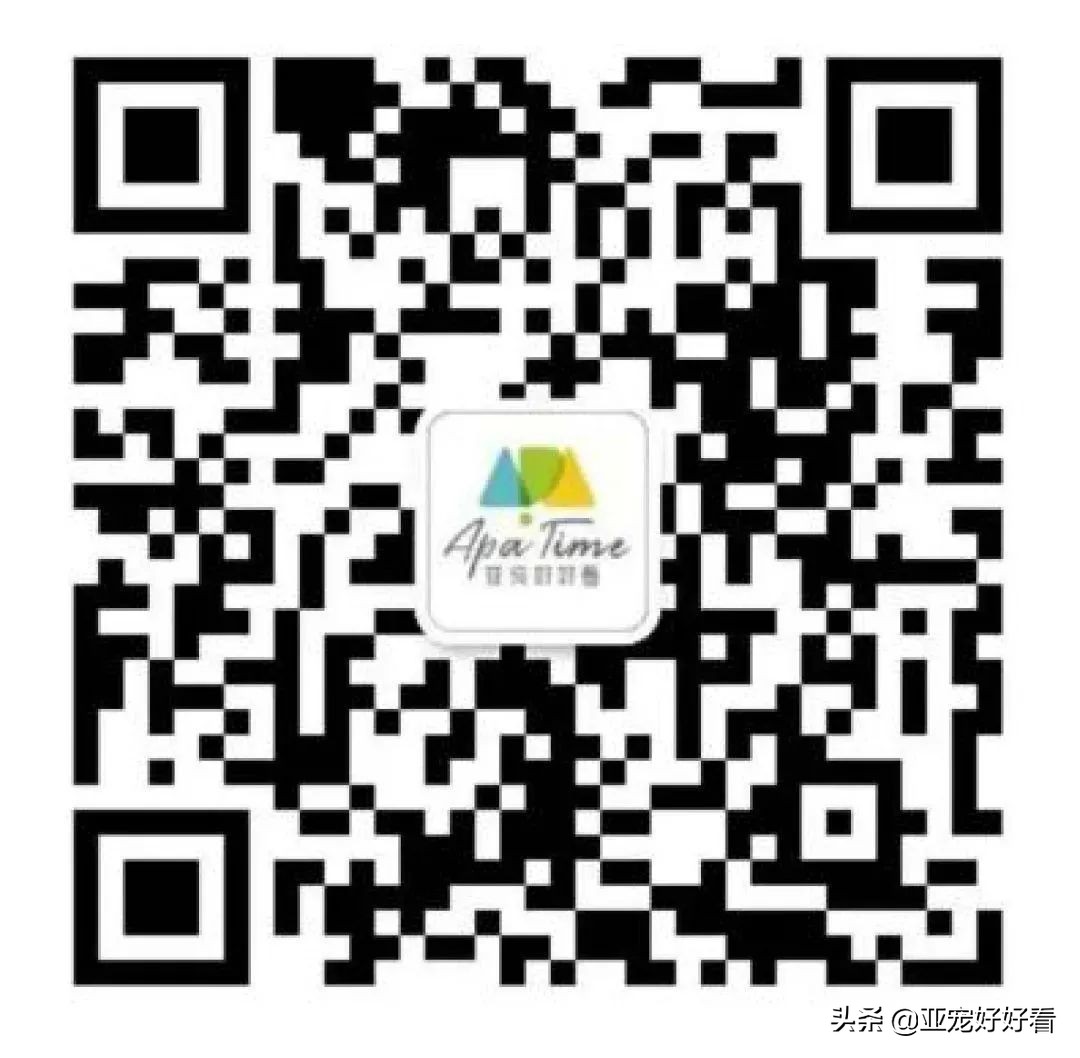 亚宠云课堂∣4月21日吴起支招宠物门店如何避免不当犬猫服务操作