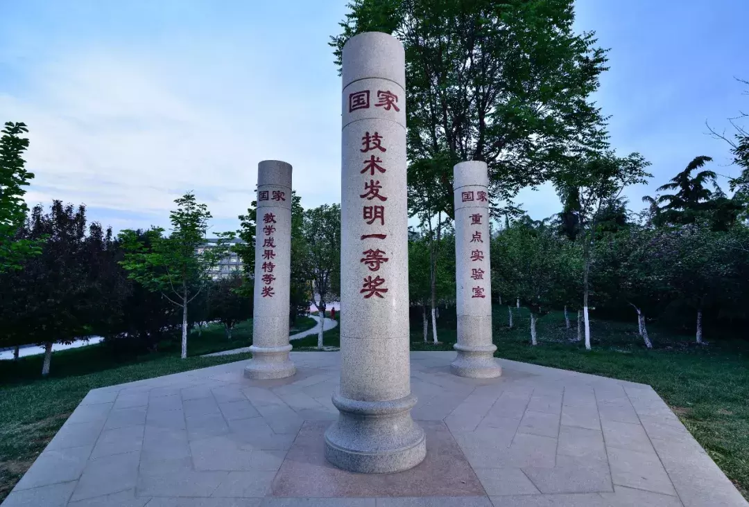 山东农业大学考研分数线（敲黑板）