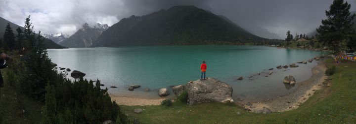 大学奇葩专业大汇总！母猪的产后护理简直弱爆了