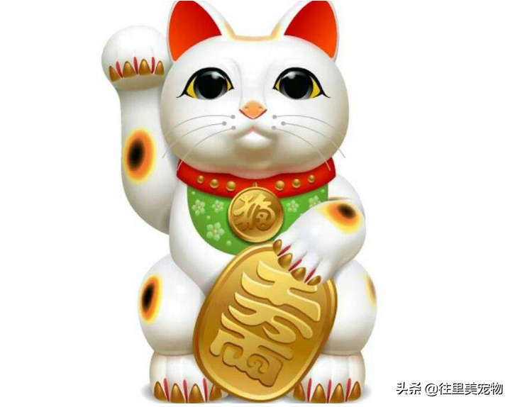 三十万只猫中才有可能出现一只三色公猫，难怪它能被卖到130万元