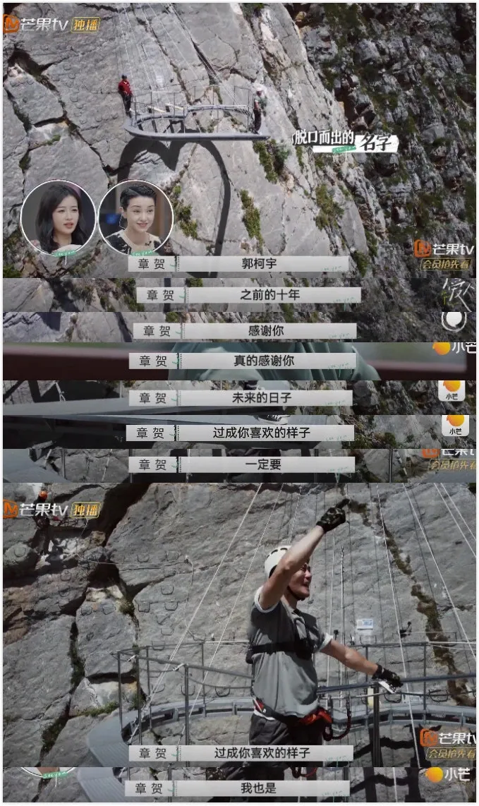 离婚真人秀《再见爱人》一夜爆火：明星离婚的真相，藏不住了