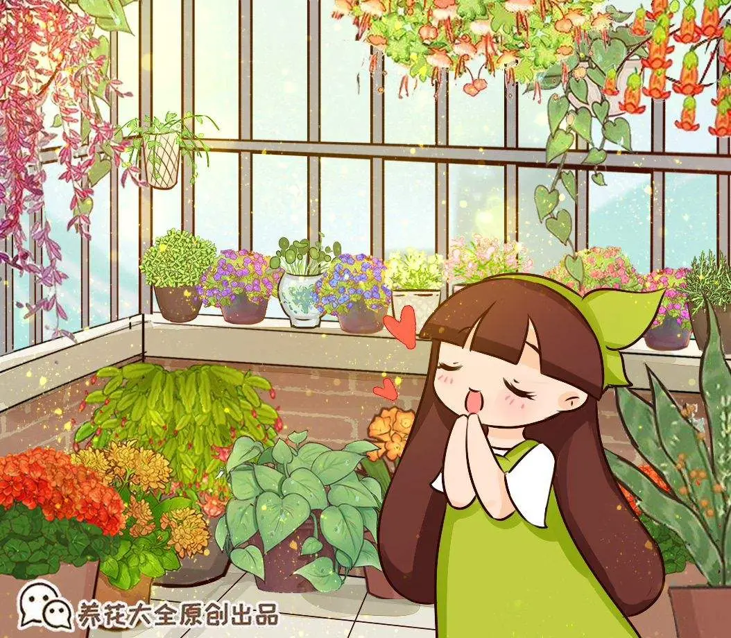 世界上长得最快的植物是什么（4种生长速度很快的植物）