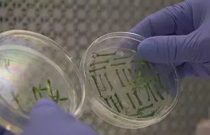 11月食品安全最热新闻月度排行榜丨食安舆情