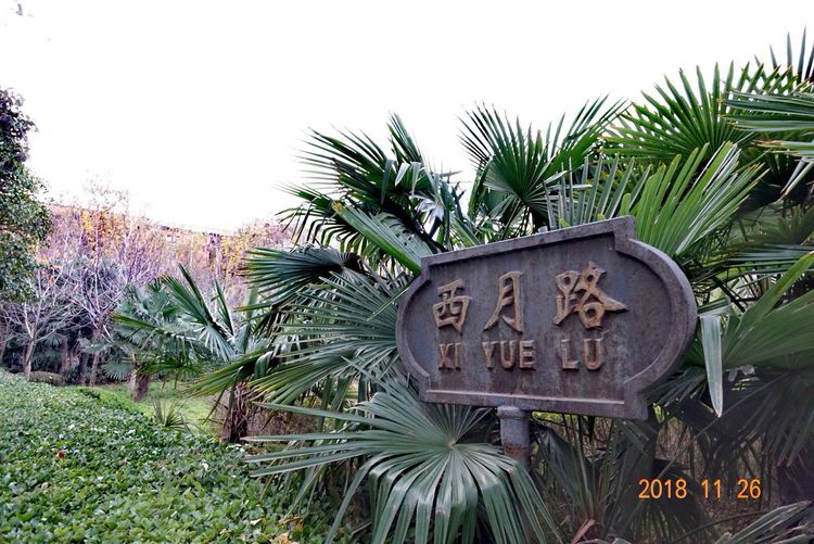 30年重回母校，深情切切，可喜新颜——河大老校区随拍