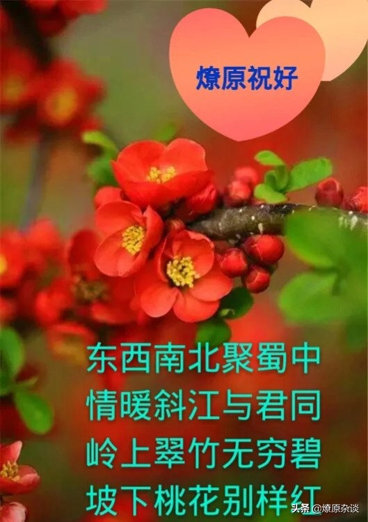 顺口溜丨桃花烂漫映天红，绿柳依稀染碧空