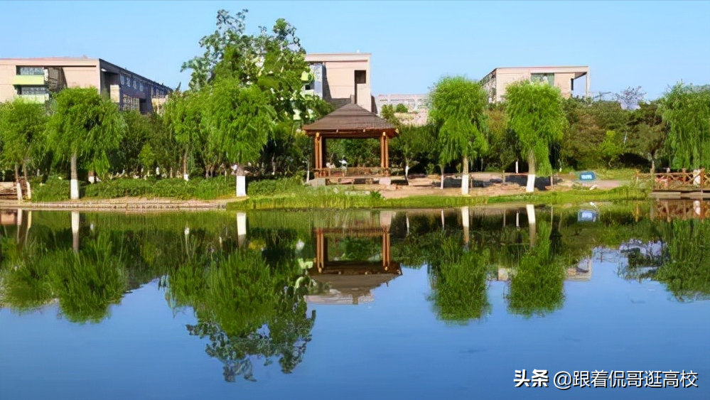 2021年河北高校经费预算来了（一）