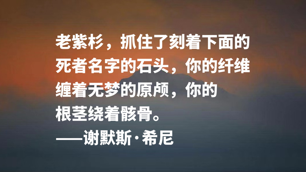 伟大的英语诗人，谢默斯·希尼八句格言，淳朴自然，暗含生活哲理