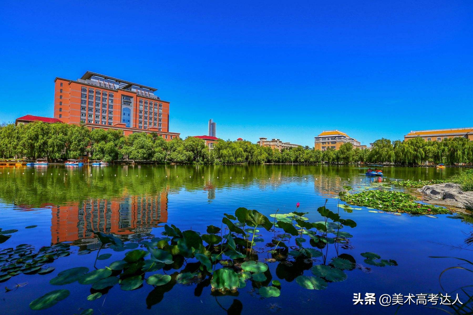 全国1300所本科大学中，最容易被忽略掉的艺术类专业，都是好专业