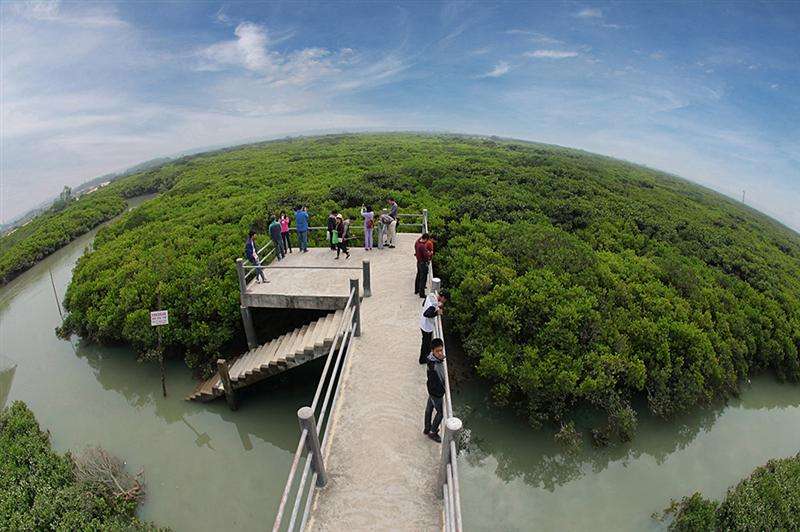 湛江森林公園門票多少錢(湛江景點大全) - 價格百科