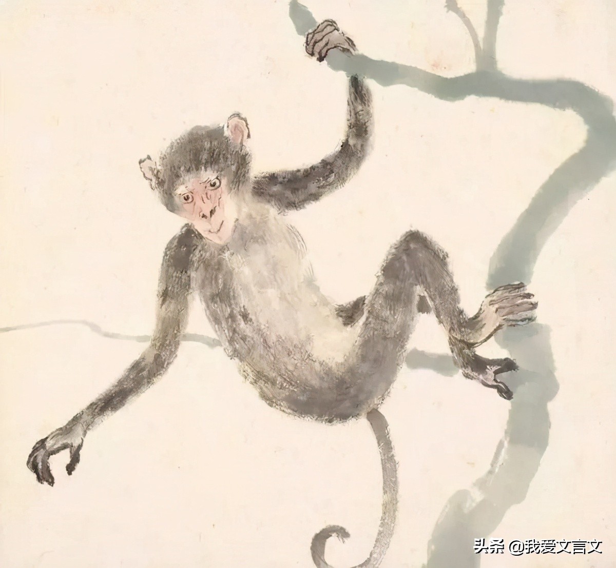 “黠”字读音解析与经典文言文中的机智形象赏析，领略古人智慧与语言精妙