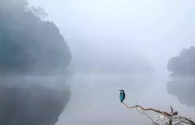 人生不易，悲喜相依，愿我们都能善待他人，也能被世界温柔以待！
