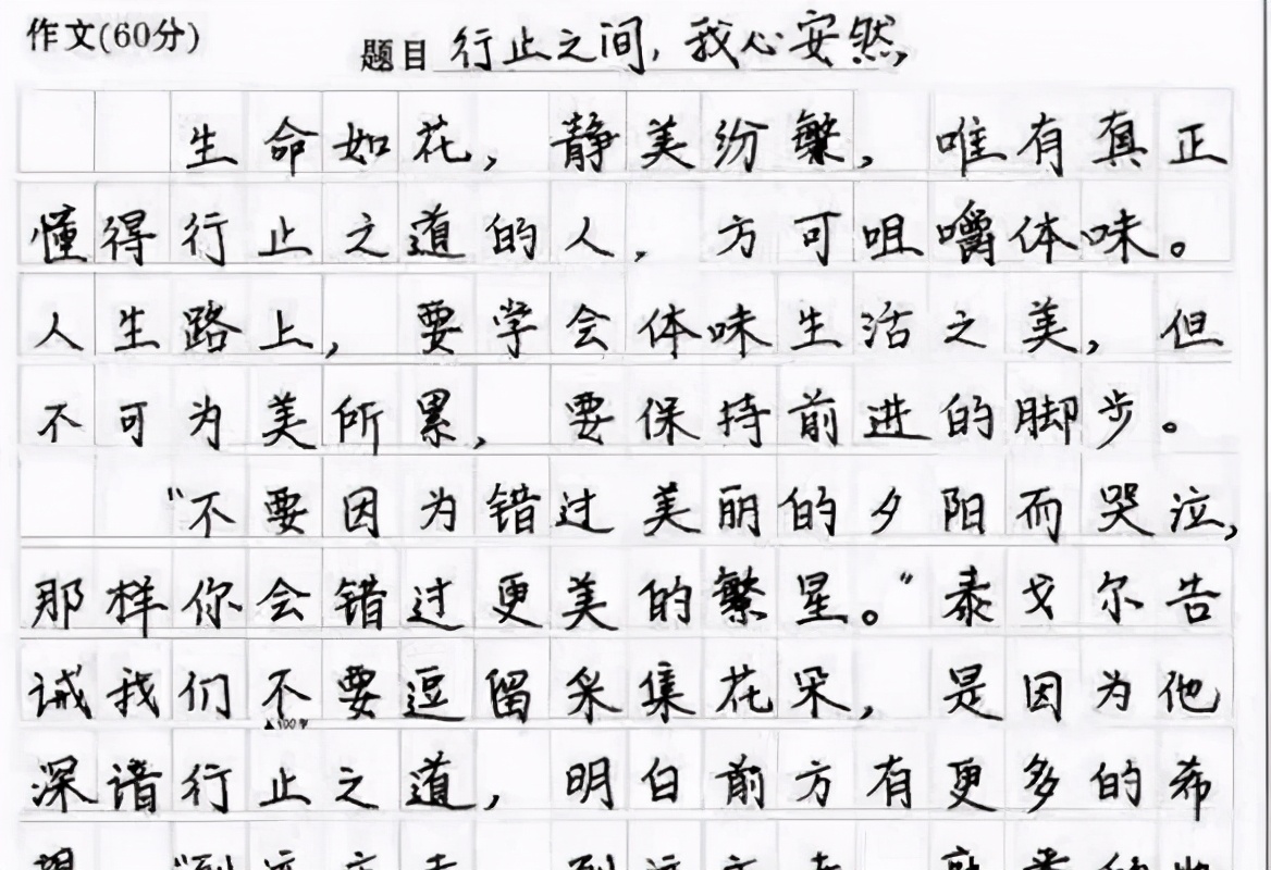 高考状元作文（高中生满分作文）