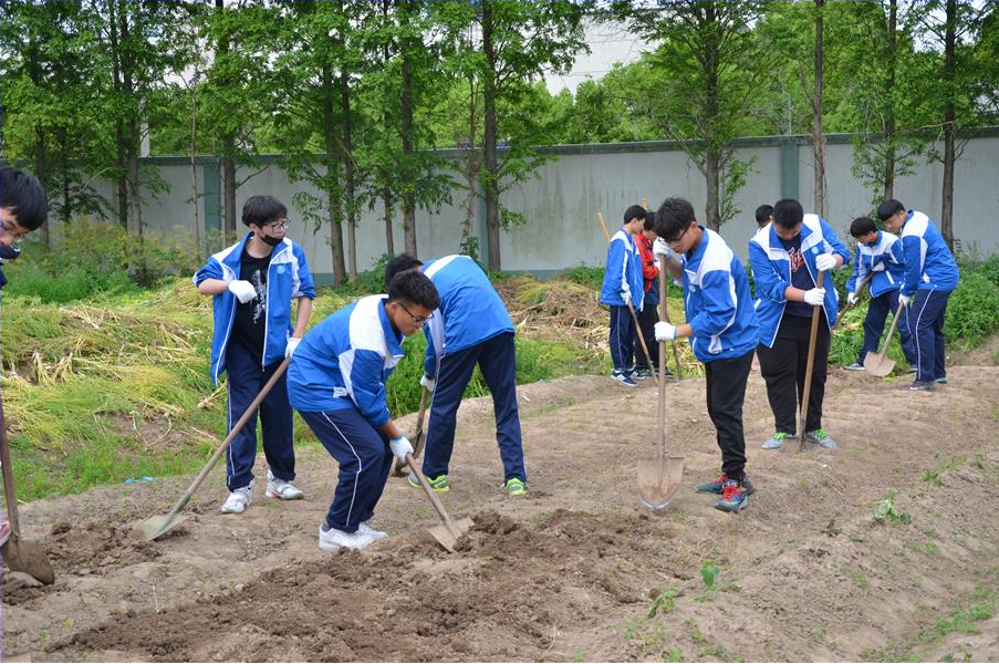 一张仅16人的高考喜报，揭露教育现状，现实的差距拼了命也追不上