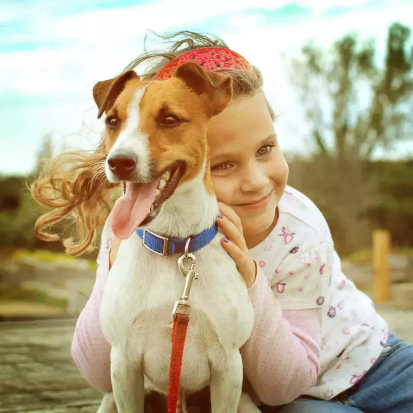 国外十种顶级猎犬，杜高才排第四，第一你想不到