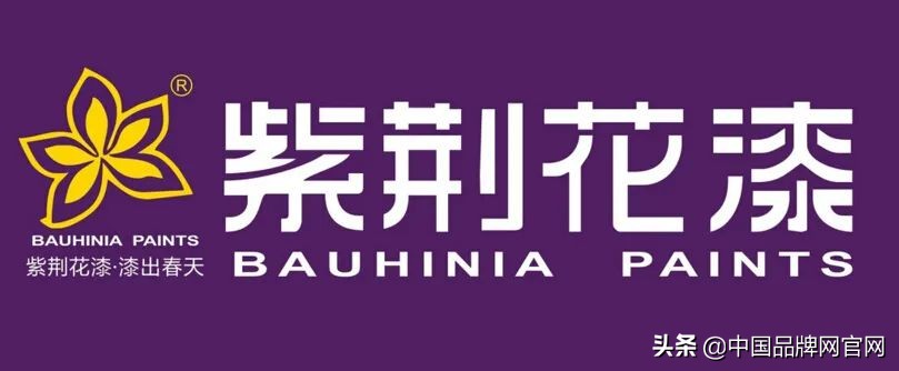 2021十大油漆品牌TOP排行榜，買錯毀房子