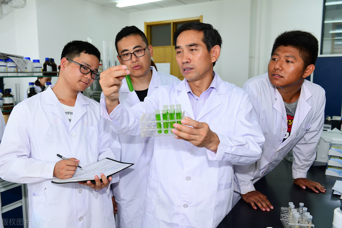 考研选一本还是二本，到底有什么区别？看完瞬间清醒...