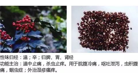 300个中草药图谱（附主治功效），知道一半就太牛了（上）