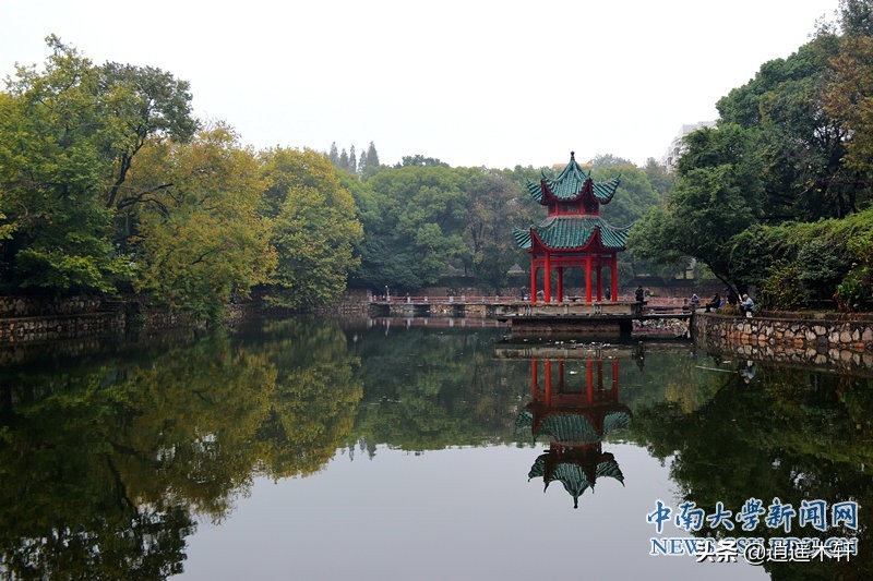 中南大学--低调却很有实力，一所性价非常高的985名校