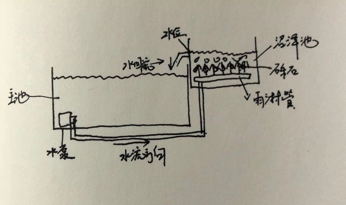 沼泽过滤，一篇文章了解这种最接近原生态的过滤方式