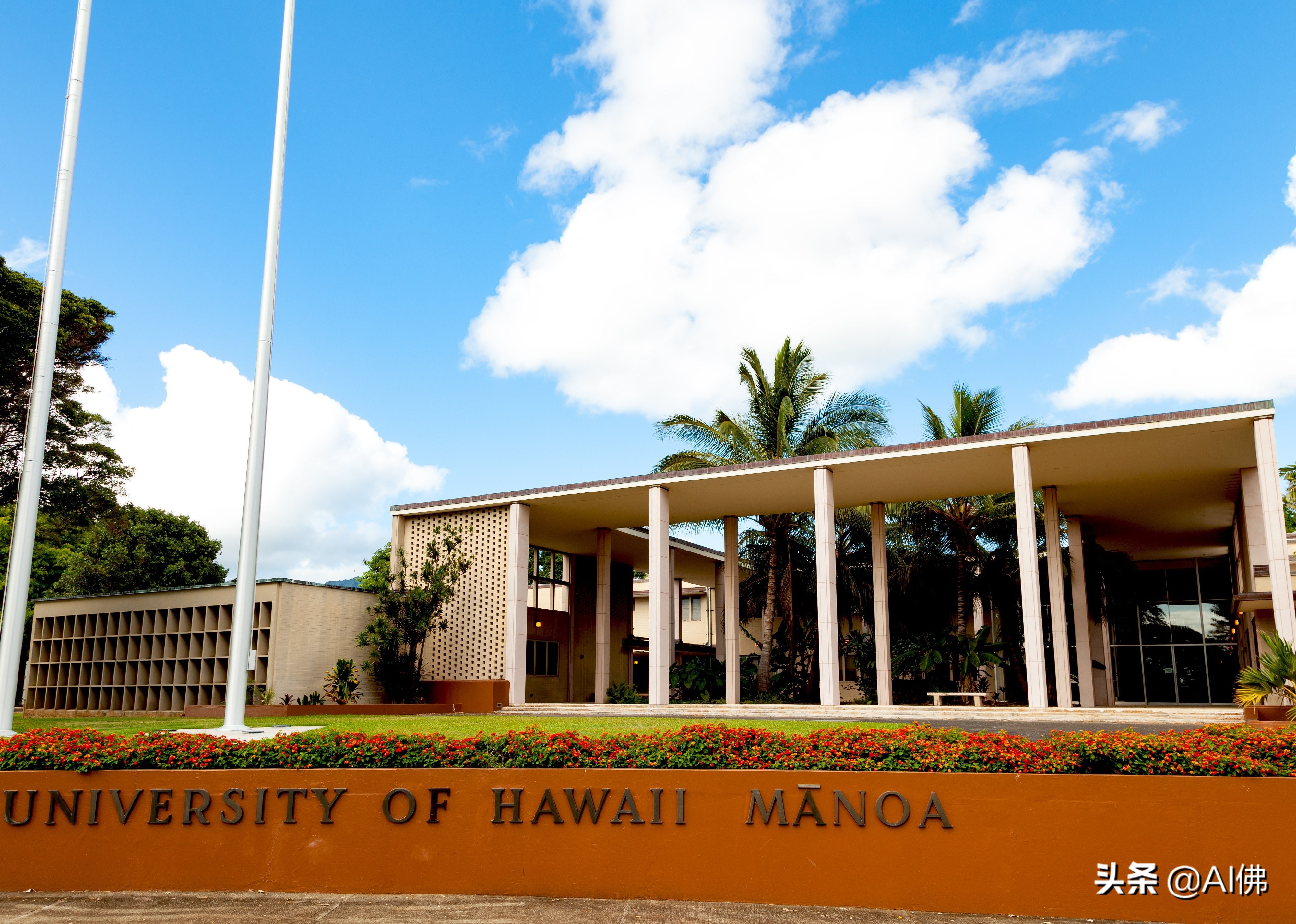 美国每个州ROI最高的公立大学