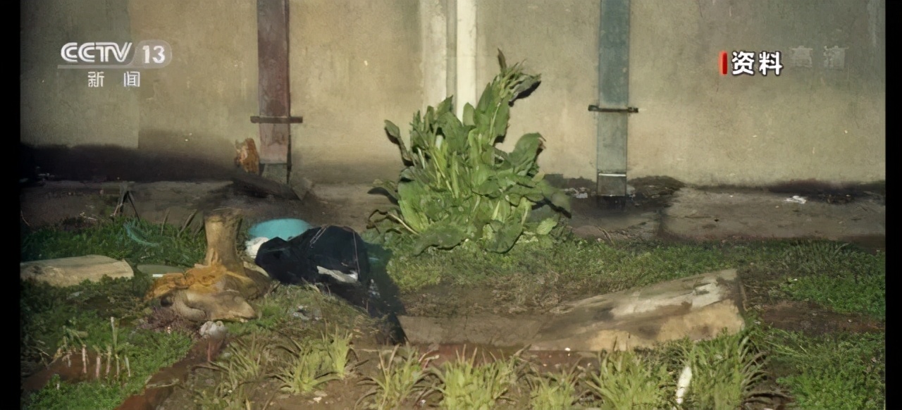 重庆医学院路杀人（28年前南医大女生被奸杀案细节首次披露）