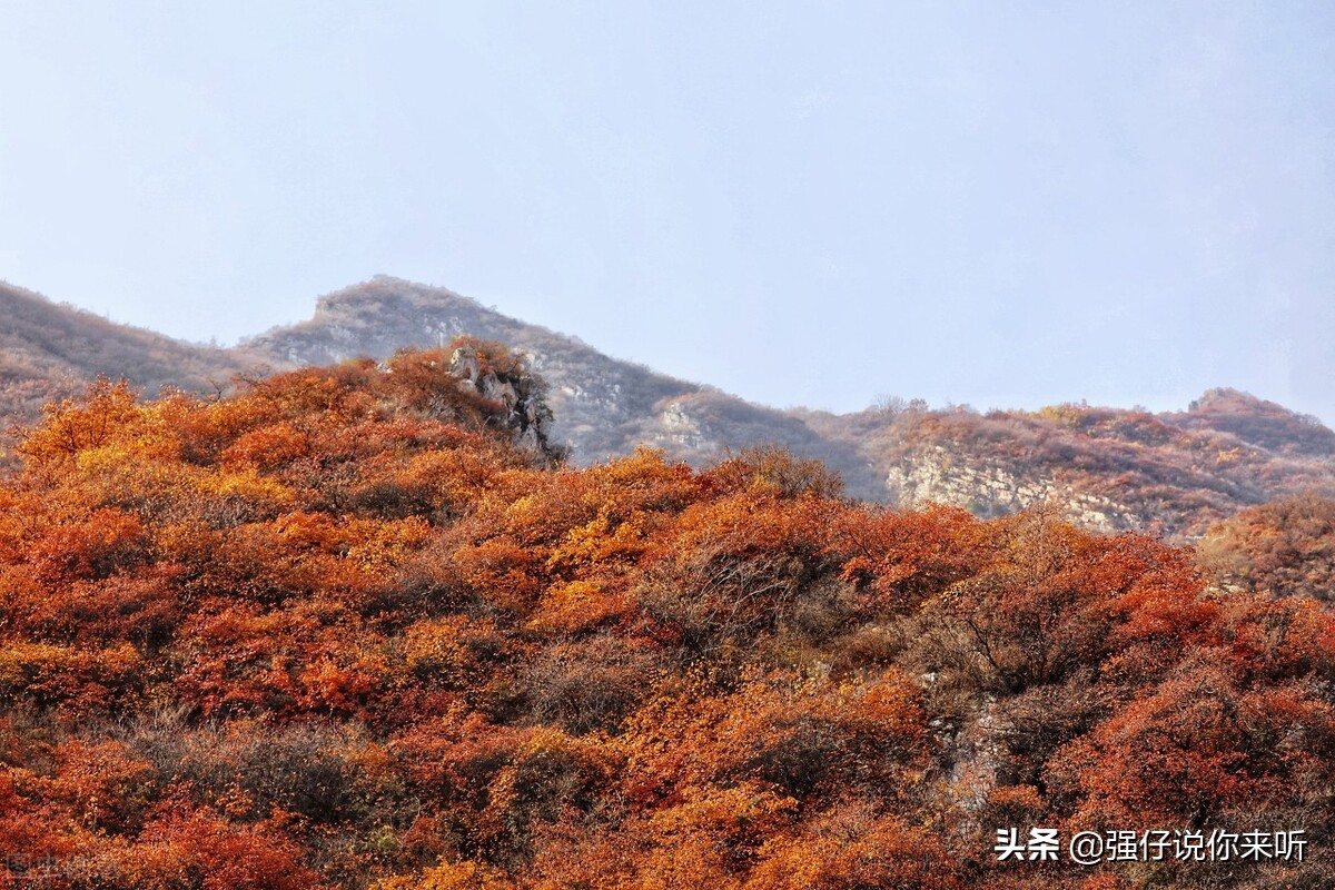 河北这所二本大学招生遇难，外地的考生看不上，本省的考生考不取