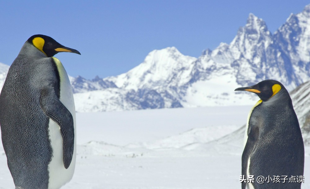 借古讽今诗句_描写借古讽今的50首古诗