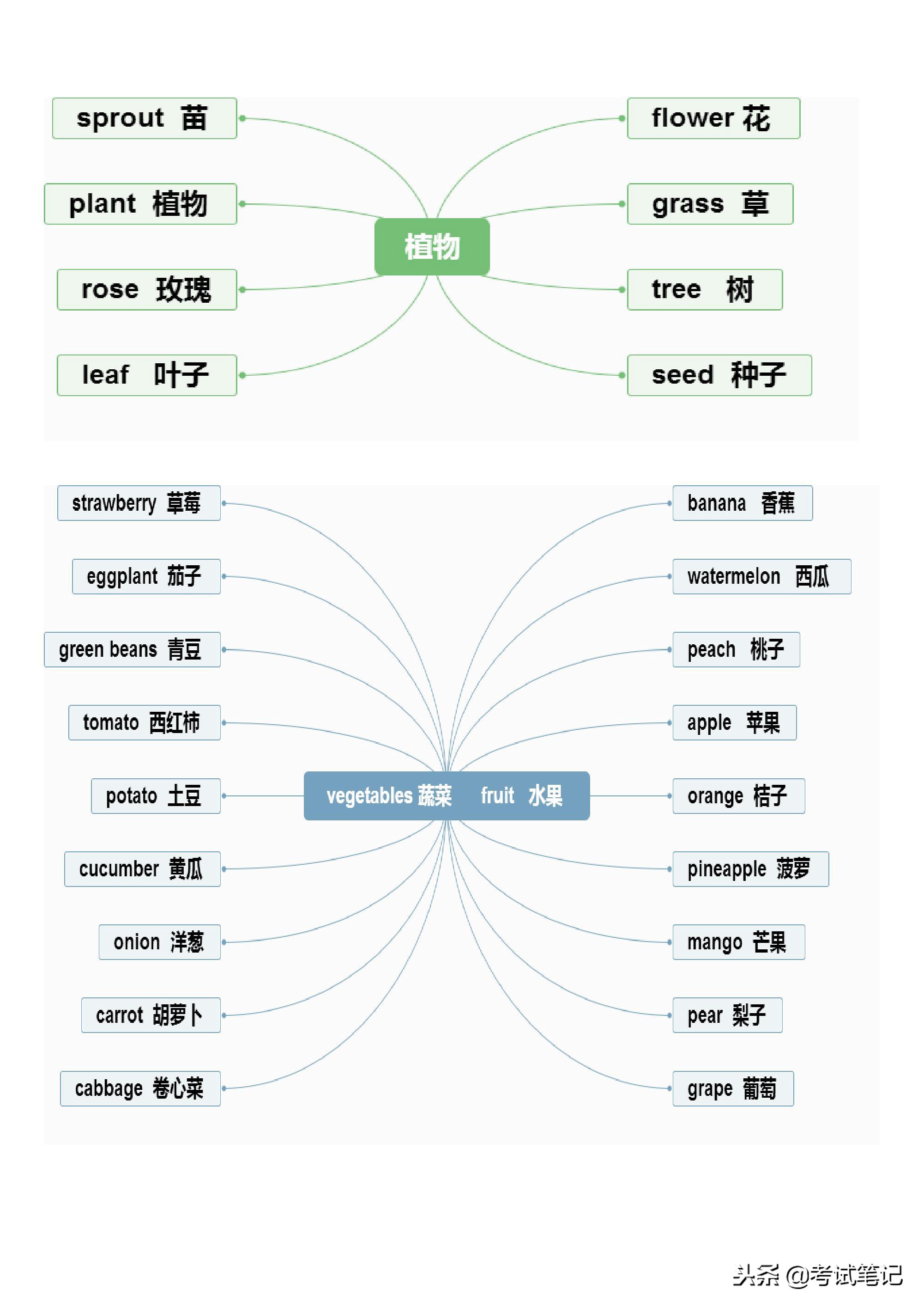 不愧是博士妈妈，将英语单词分类整理，孩子一周记完三年的单词！