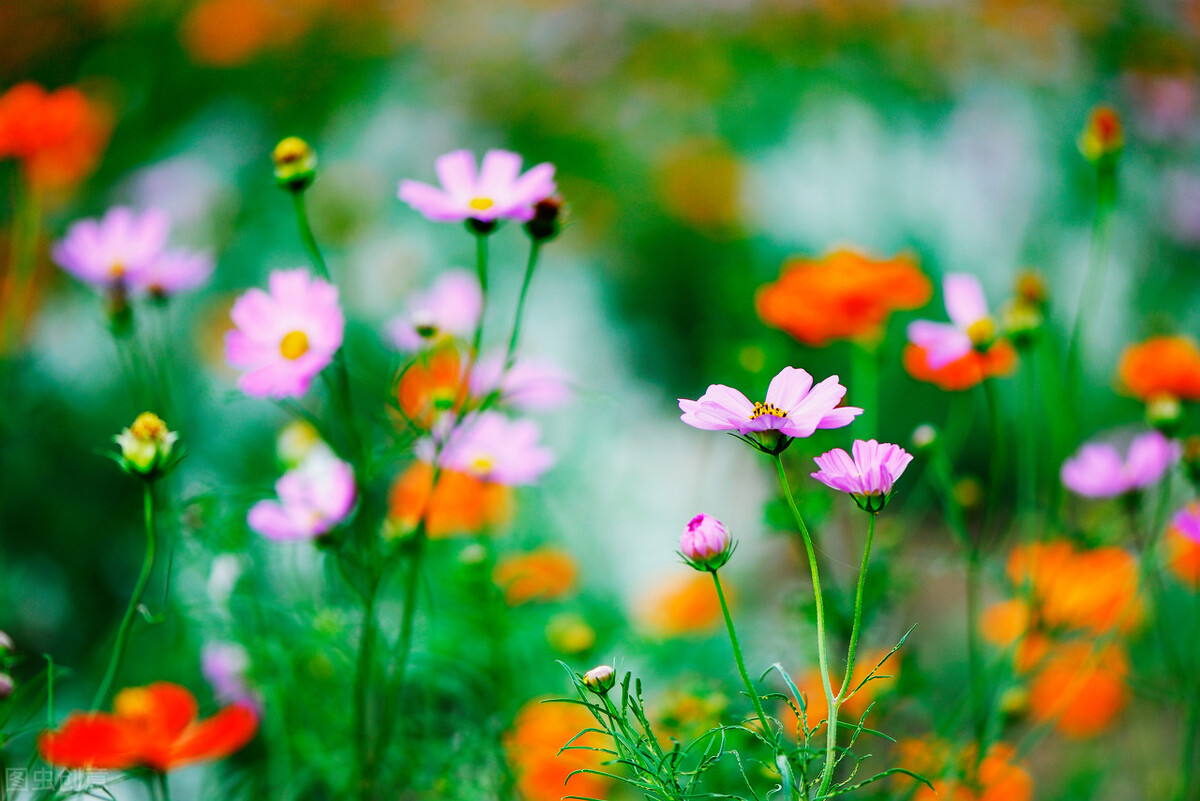 02.对不起,我还是很爱你,原谅我,无法将你忘记