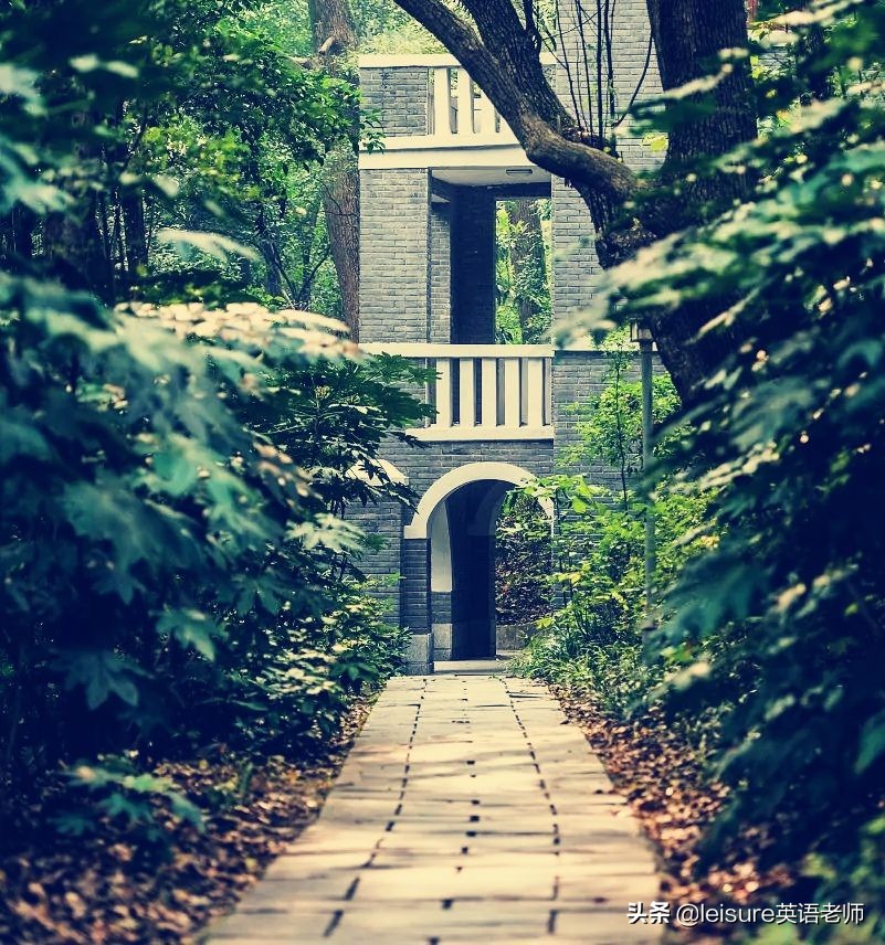 华中科技大学面积（武汉的高校有多大）