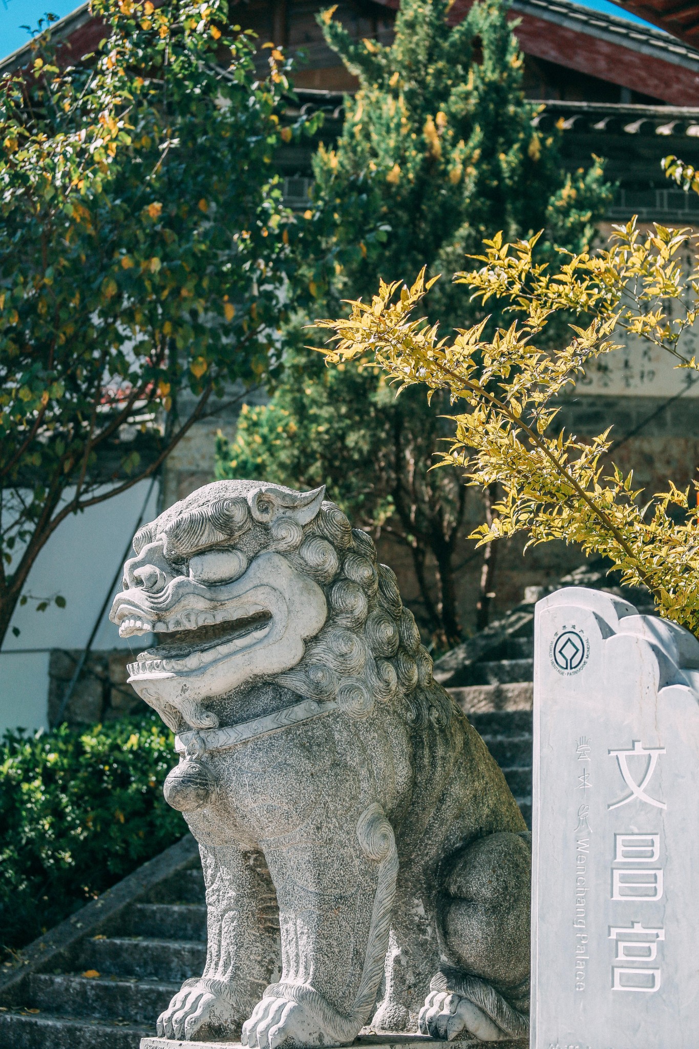 跟着夏天的风，到丽江吹吹心情