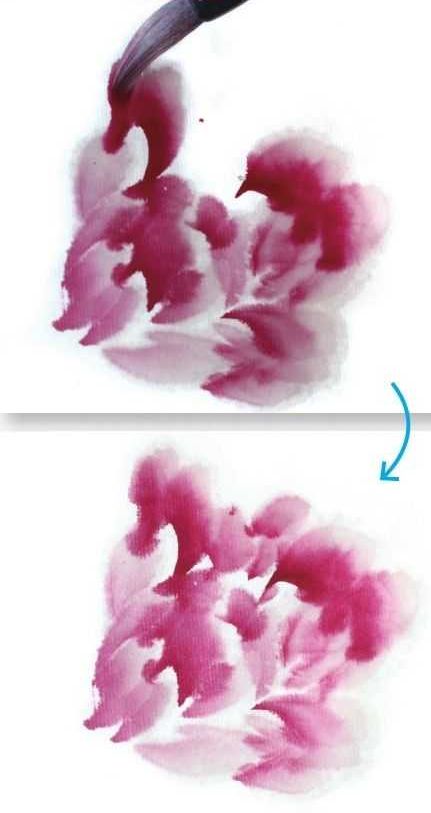 不同颜色牡丹怎么画？3种牡丹图解教你画，适合0基础学习，收藏
